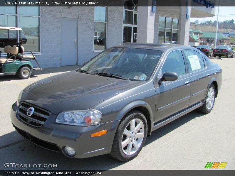 Gray Lustre Metallic / Black 2002 Nissan Maxima GLE