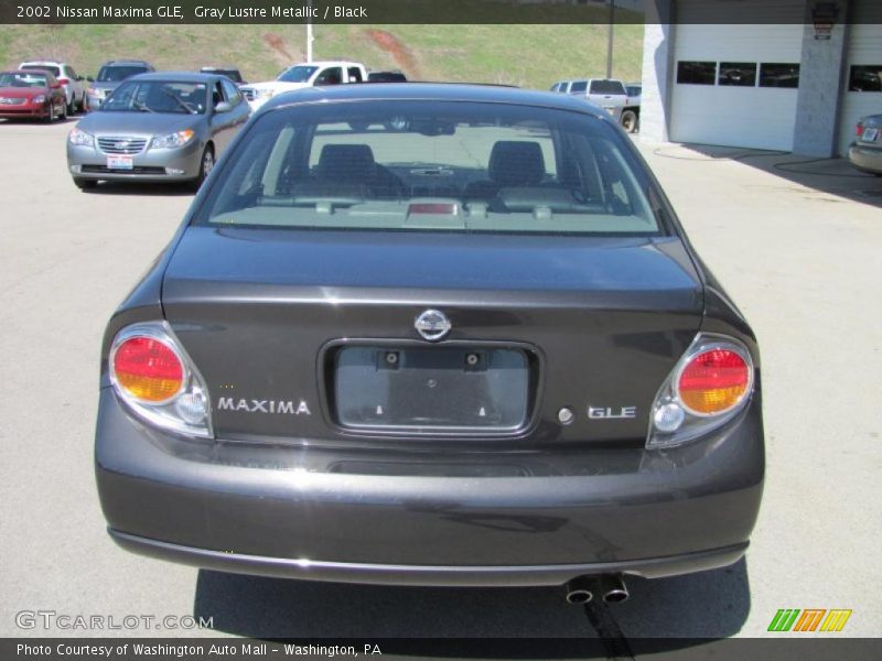 Gray Lustre Metallic / Black 2002 Nissan Maxima GLE