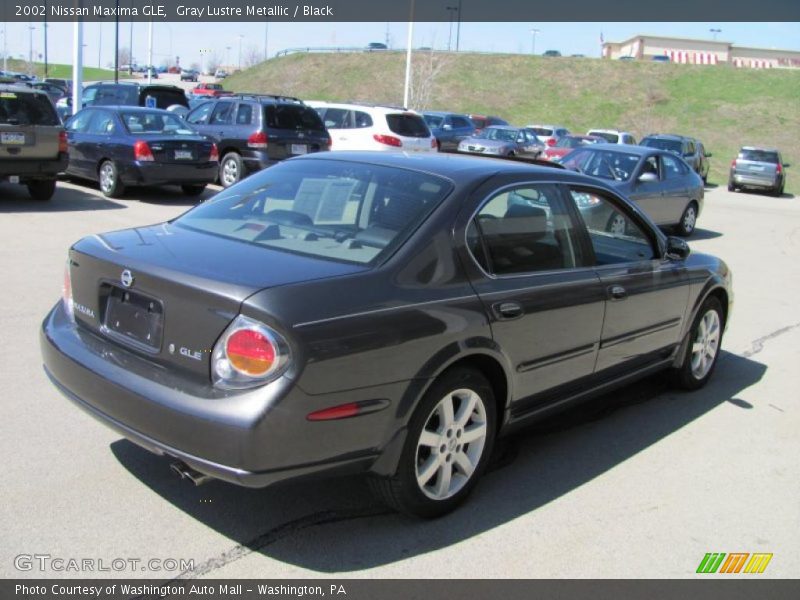 Gray Lustre Metallic / Black 2002 Nissan Maxima GLE