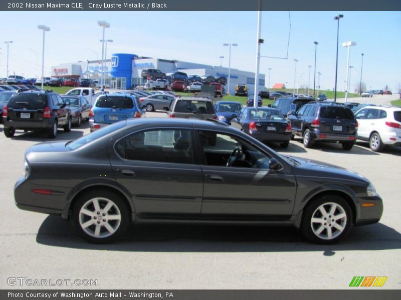 Gray Lustre Metallic / Black 2002 Nissan Maxima GLE