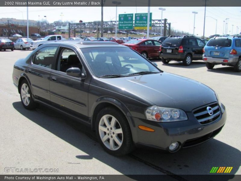 Gray Lustre Metallic / Black 2002 Nissan Maxima GLE