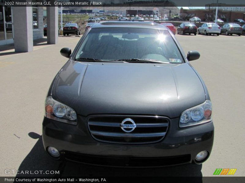 Gray Lustre Metallic / Black 2002 Nissan Maxima GLE