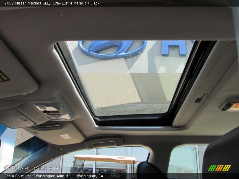 Gray Lustre Metallic / Black 2002 Nissan Maxima GLE