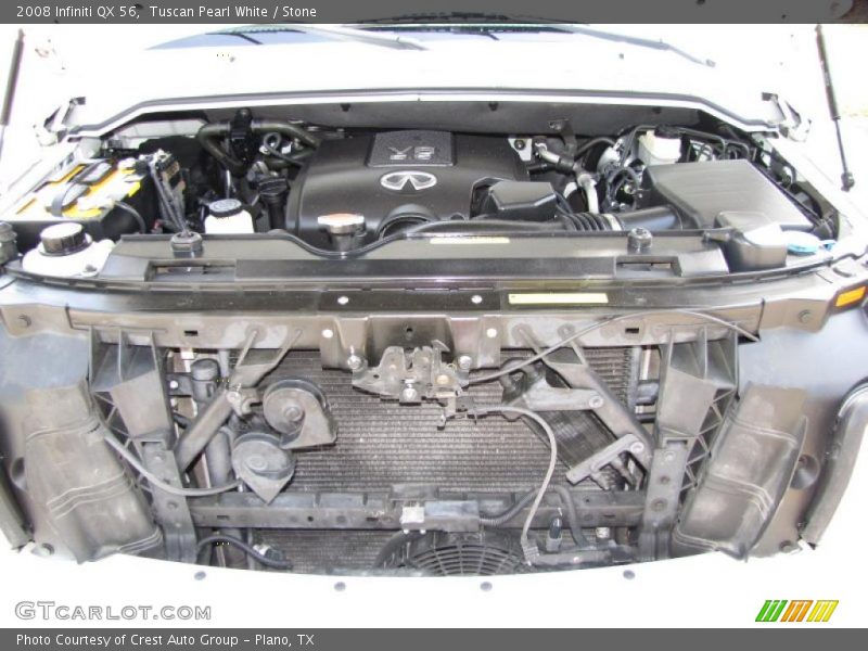 Tuscan Pearl White / Stone 2008 Infiniti QX 56