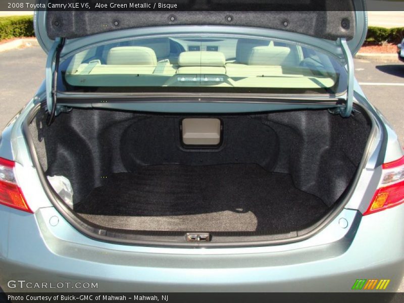 Aloe Green Metallic / Bisque 2008 Toyota Camry XLE V6