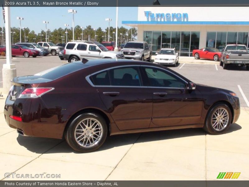 Mayan Bronze Metallic / Ebony 2009 Acura TL 3.5