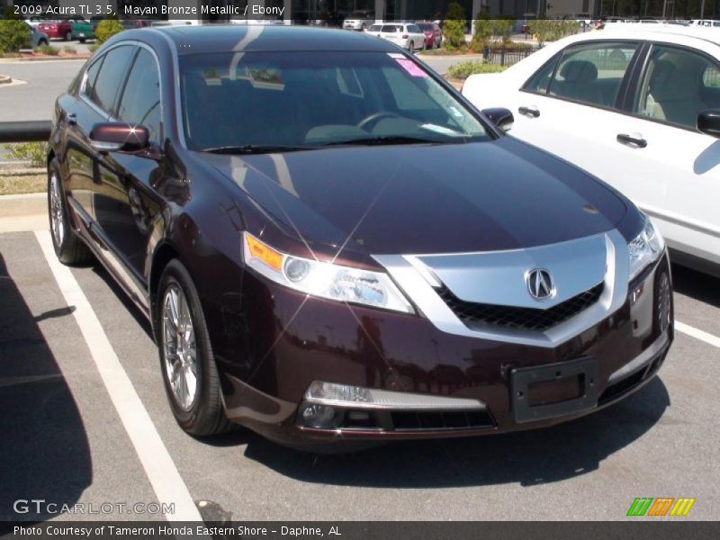 Mayan Bronze Metallic / Ebony 2009 Acura TL 3.5