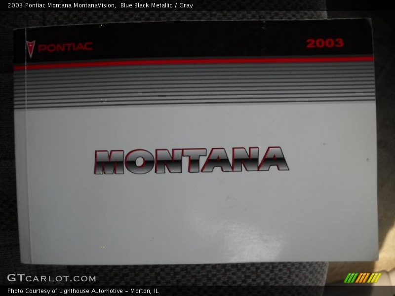 Blue Black Metallic / Gray 2003 Pontiac Montana MontanaVision