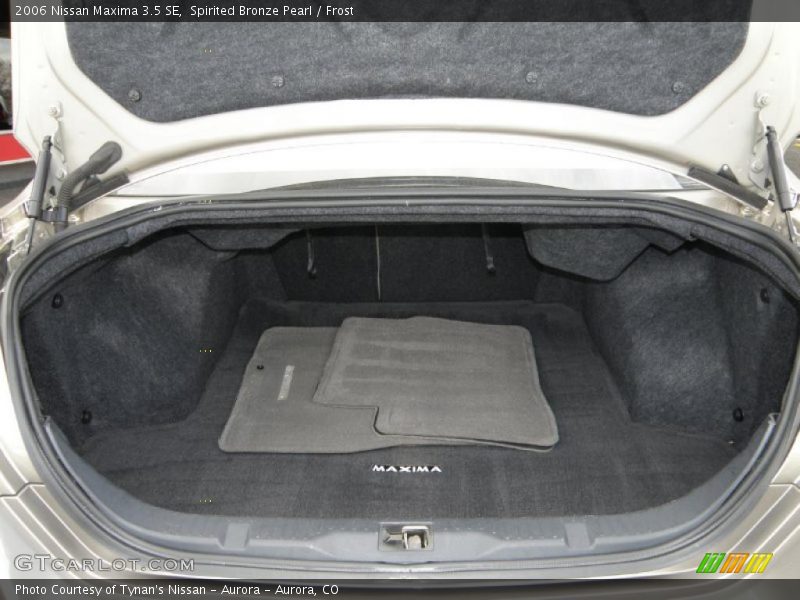 Spirited Bronze Pearl / Frost 2006 Nissan Maxima 3.5 SE