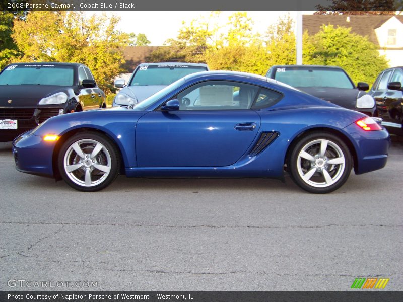 Cobalt Blue / Black 2008 Porsche Cayman