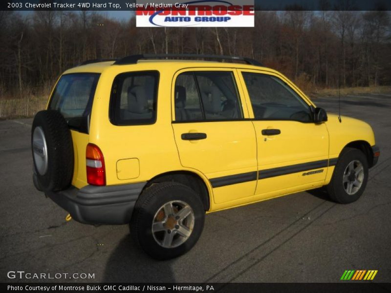 Yellow / Medium Gray 2003 Chevrolet Tracker 4WD Hard Top