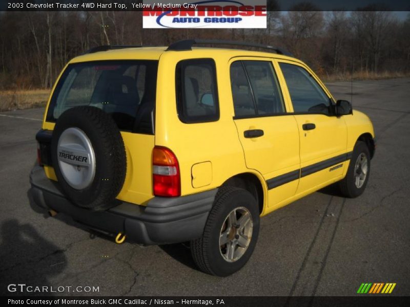 Yellow / Medium Gray 2003 Chevrolet Tracker 4WD Hard Top