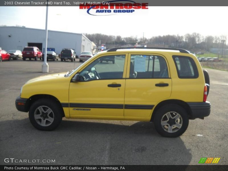 Yellow / Medium Gray 2003 Chevrolet Tracker 4WD Hard Top