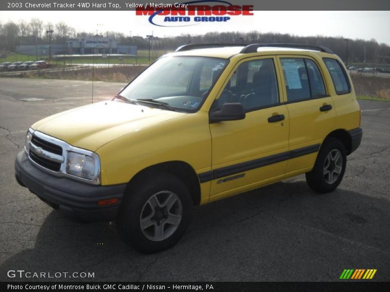 Yellow / Medium Gray 2003 Chevrolet Tracker 4WD Hard Top