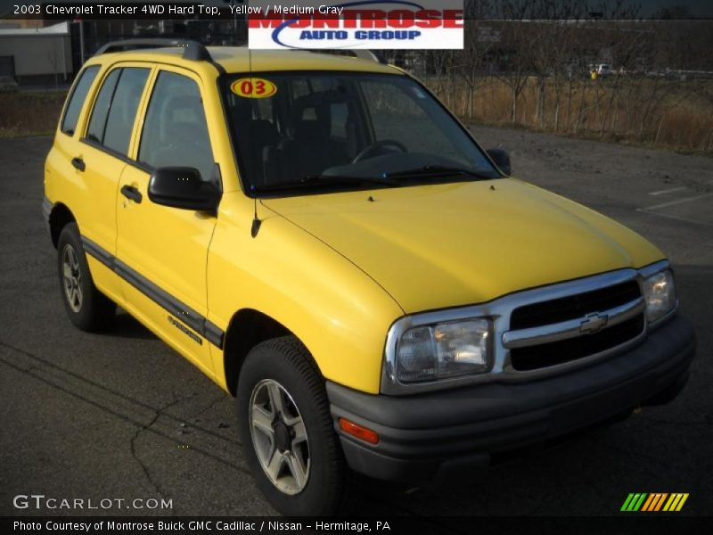 Yellow / Medium Gray 2003 Chevrolet Tracker 4WD Hard Top