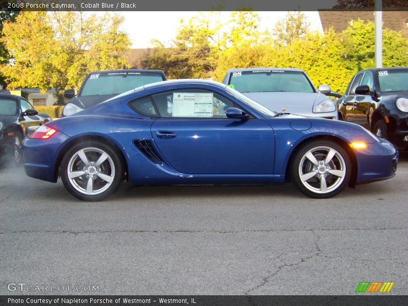 Cobalt Blue / Black 2008 Porsche Cayman