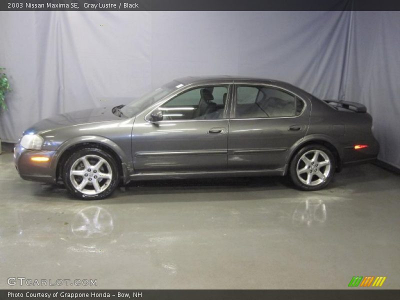Gray Lustre / Black 2003 Nissan Maxima SE