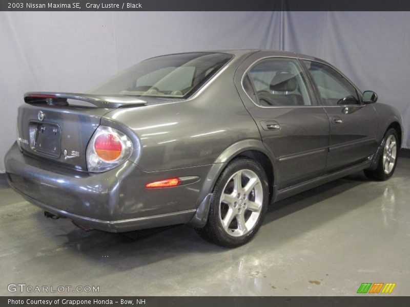 Gray Lustre / Black 2003 Nissan Maxima SE