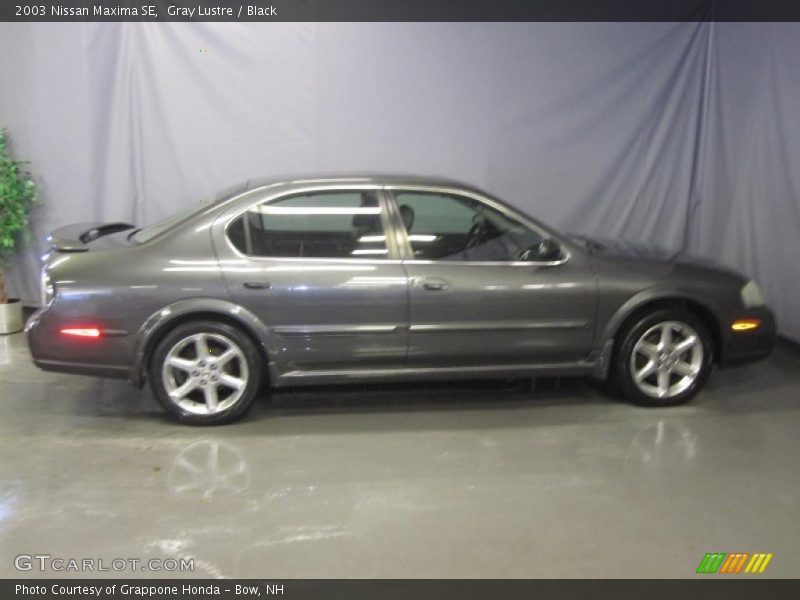 Gray Lustre / Black 2003 Nissan Maxima SE