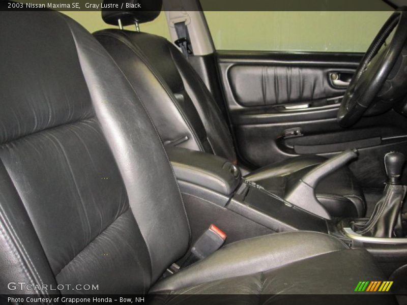 Gray Lustre / Black 2003 Nissan Maxima SE