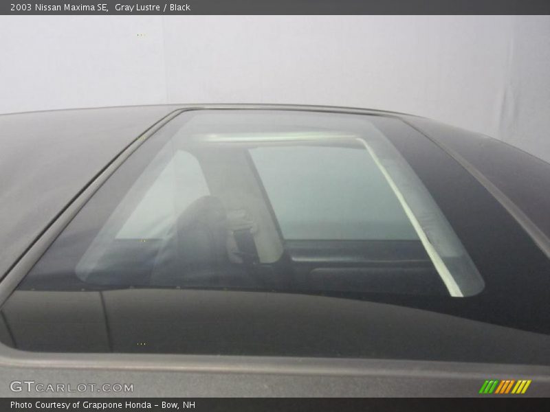 Gray Lustre / Black 2003 Nissan Maxima SE