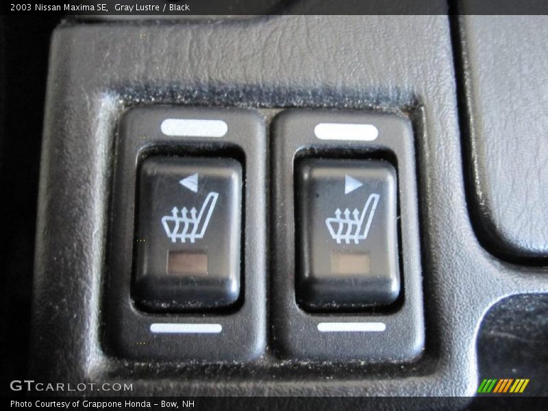 Gray Lustre / Black 2003 Nissan Maxima SE