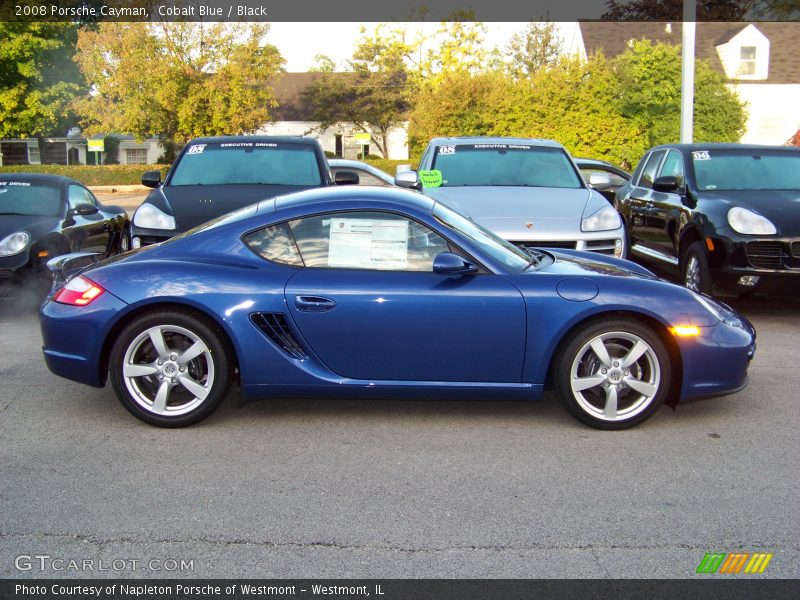 Cobalt Blue / Black 2008 Porsche Cayman