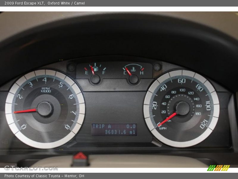 Oxford White / Camel 2009 Ford Escape XLT