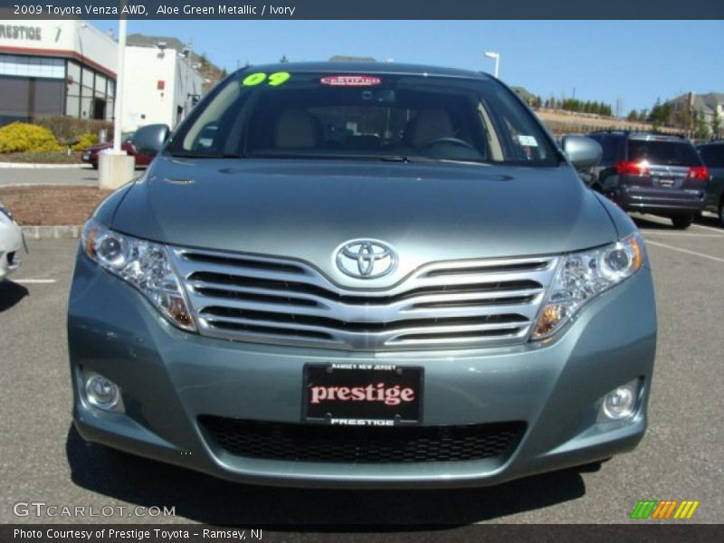 Aloe Green Metallic / Ivory 2009 Toyota Venza AWD