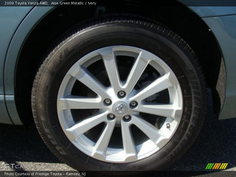 Aloe Green Metallic / Ivory 2009 Toyota Venza AWD