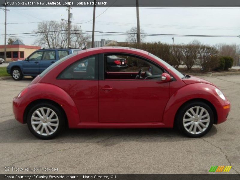Salsa Red / Black 2008 Volkswagen New Beetle SE Coupe
