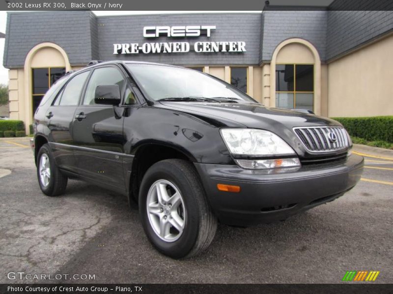Black Onyx / Ivory 2002 Lexus RX 300