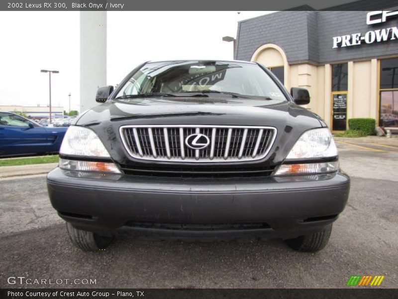 Black Onyx / Ivory 2002 Lexus RX 300