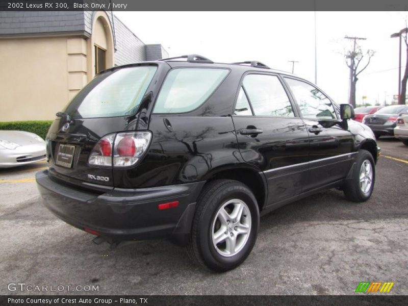 Black Onyx / Ivory 2002 Lexus RX 300