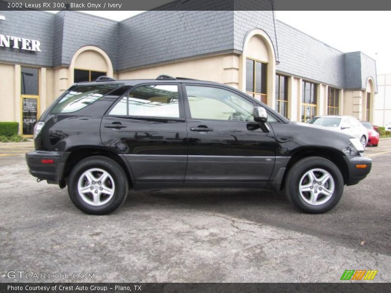Black Onyx / Ivory 2002 Lexus RX 300