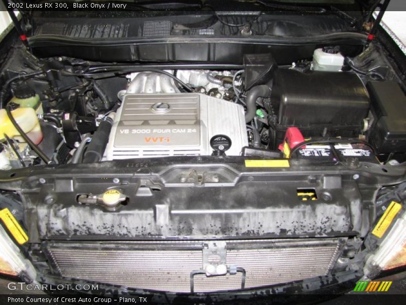 Black Onyx / Ivory 2002 Lexus RX 300