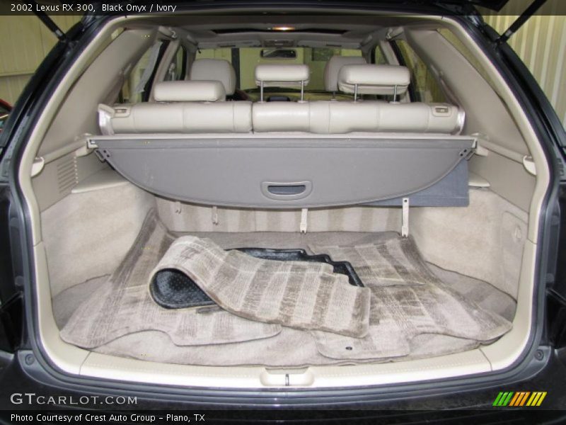 Black Onyx / Ivory 2002 Lexus RX 300