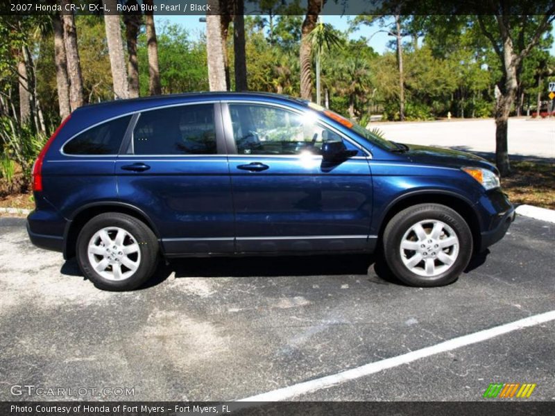 Royal Blue Pearl / Black 2007 Honda CR-V EX-L