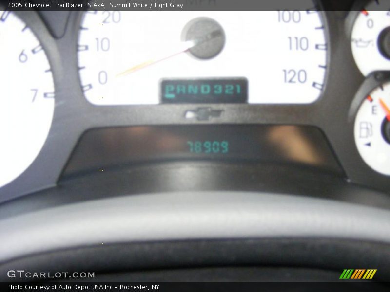 Summit White / Light Gray 2005 Chevrolet TrailBlazer LS 4x4