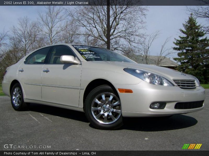 Alabaster Metallic / Light Charcoal 2002 Lexus ES 300