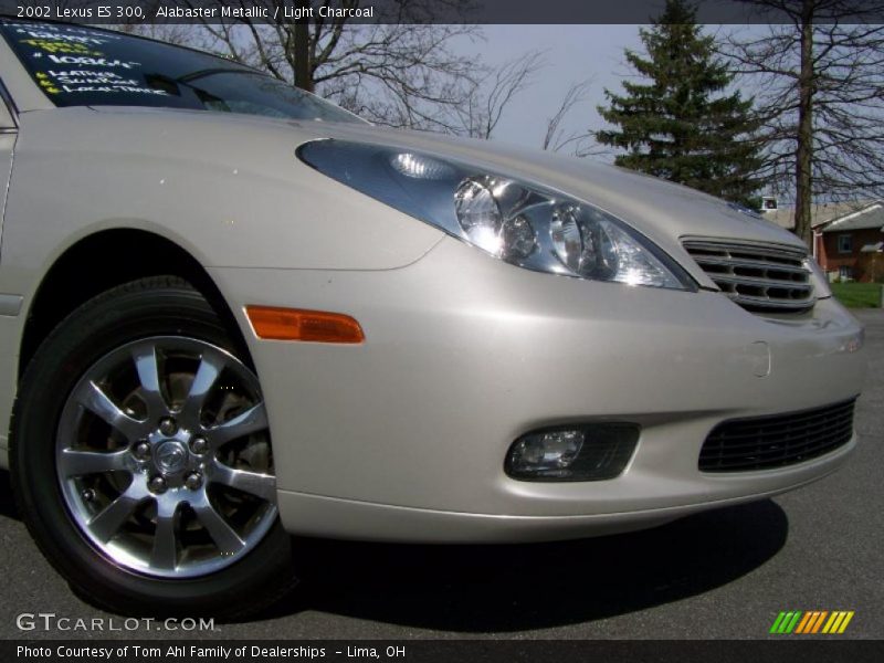 Alabaster Metallic / Light Charcoal 2002 Lexus ES 300