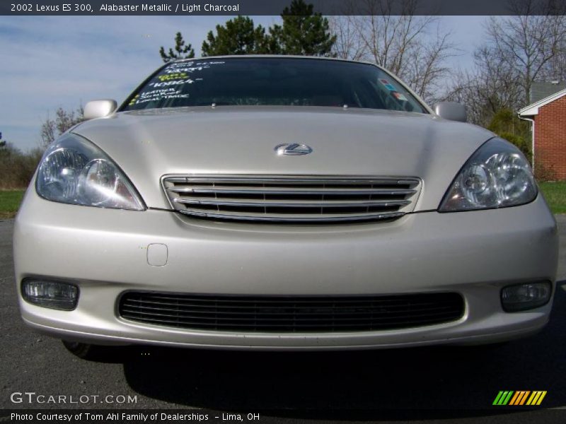 Alabaster Metallic / Light Charcoal 2002 Lexus ES 300