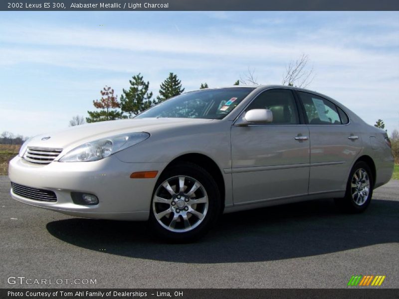 Alabaster Metallic / Light Charcoal 2002 Lexus ES 300