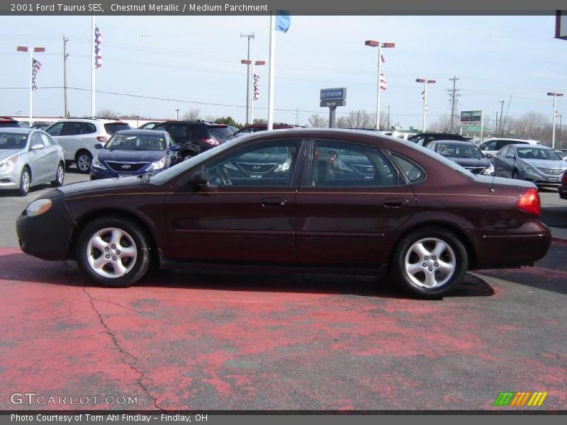 Chestnut Metallic / Medium Parchment 2001 Ford Taurus SES
