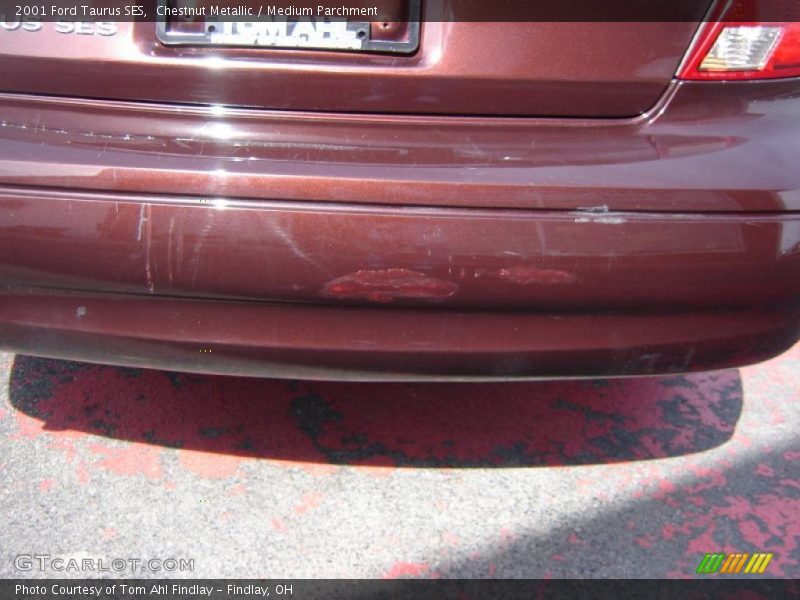 Chestnut Metallic / Medium Parchment 2001 Ford Taurus SES