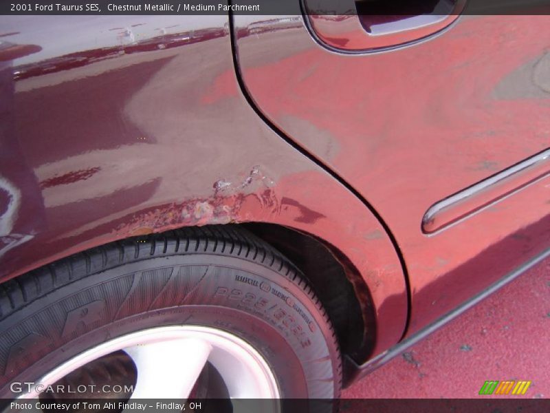 Chestnut Metallic / Medium Parchment 2001 Ford Taurus SES