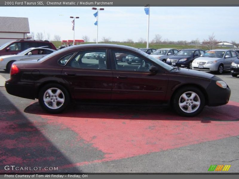 Chestnut Metallic / Medium Parchment 2001 Ford Taurus SES