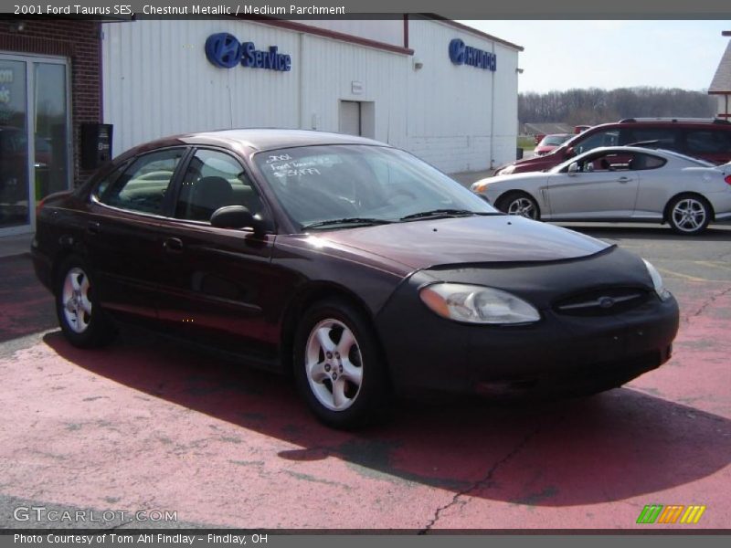 Chestnut Metallic / Medium Parchment 2001 Ford Taurus SES