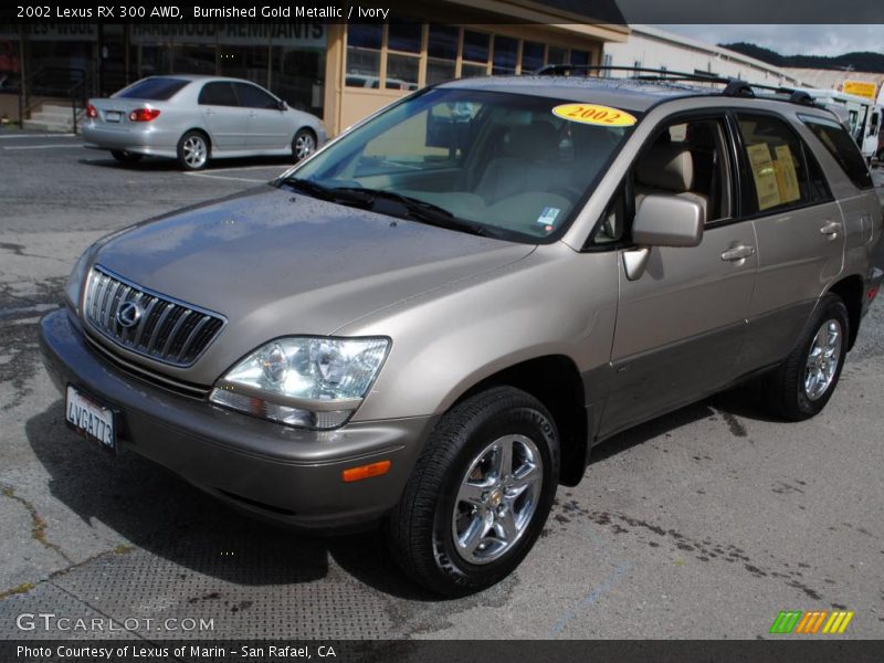 Burnished Gold Metallic / Ivory 2002 Lexus RX 300 AWD