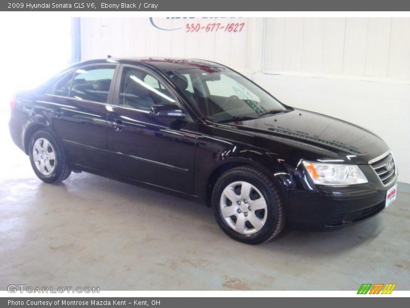 Ebony Black / Gray 2009 Hyundai Sonata GLS V6